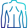 aar-autoanatomic-recognition-with-autoprojection-and-orientation-recognition-ap-pa-rlateral-and-llateral